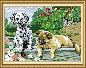 24 Stunning Animal unframed and Framed - All Paint by numbers