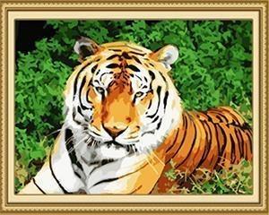 24 Stunning Animal unframed and Framed - All Paint by numbers