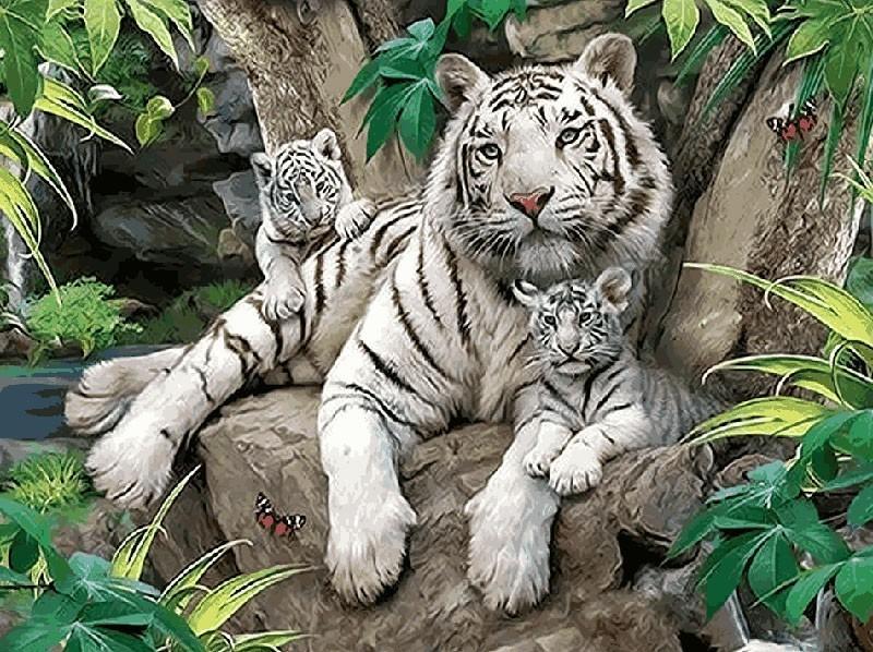 White Tiger and Cub Painting - All Paint by numbers