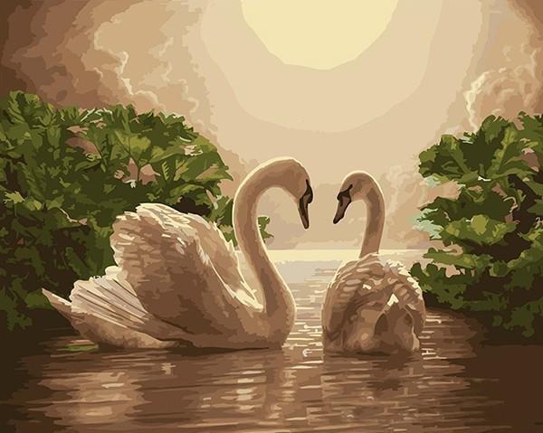 swan paint by numbers