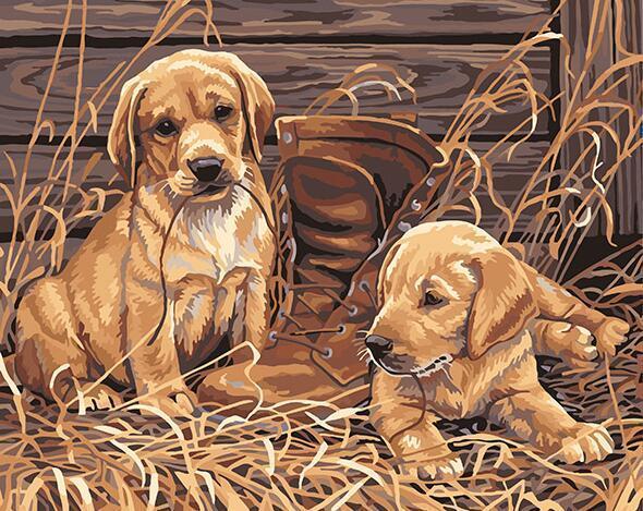 24 Dogs, Tigers and Other Animals Paintings - All Paint by numbers