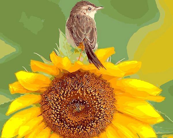8 Beautiful Flower and Birds Paint by Numbers Kits for Adults - All Paint by numbers