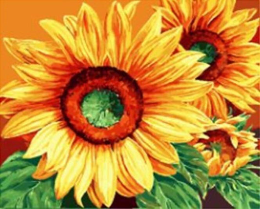 Yellow Sun Flowers with Green Leaves - All Paint by numbers