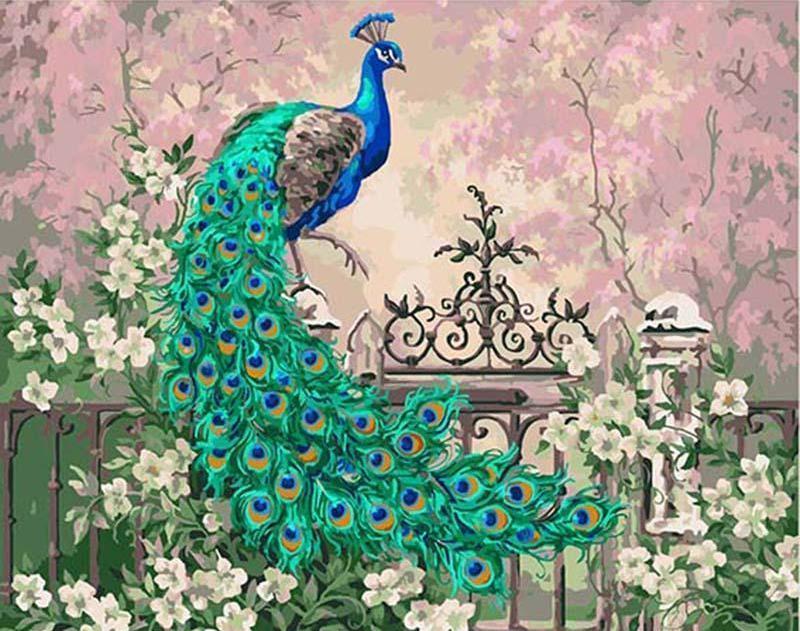 Peacock in the Flowers Painting by Numbers for Adults - All Paint by numbers