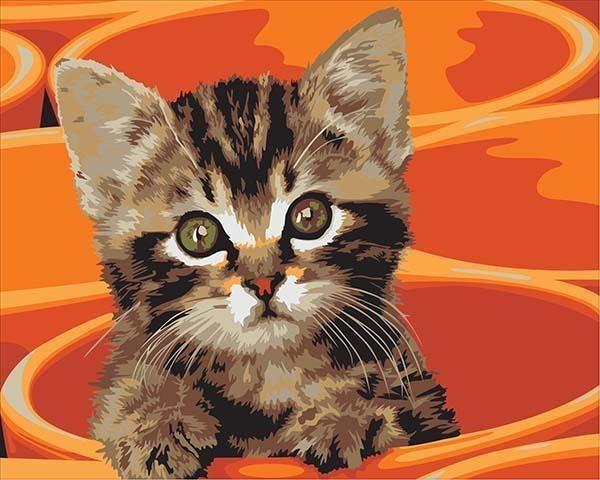 Cute little Cat in the Bucket Painting by Numbers - All Paint by numbers