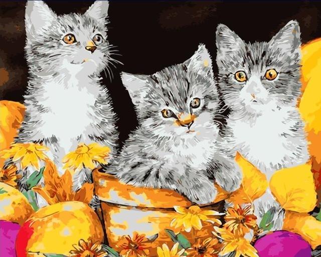 3 Kittens - DIY Painting - Want to Paint them? Buy them Now - All Paint by numbers