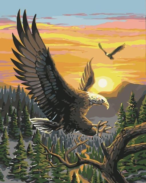 Eagles Painting by Numbers Kit - Flying Eagles - All Paint by numbers
