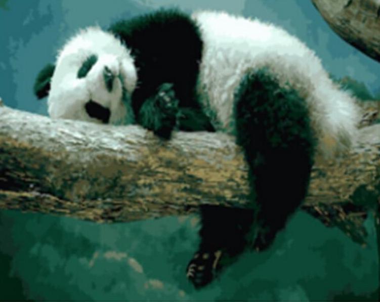 A Panda Resting on the Tree - All Paint by numbers