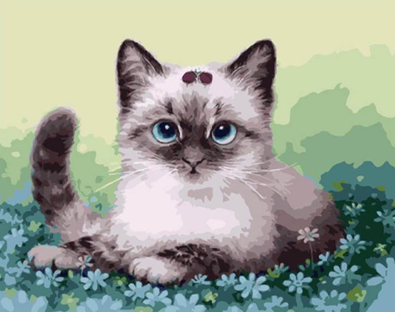Very Cute Little Kitten - Paint it Yourself - All Paint by numbers