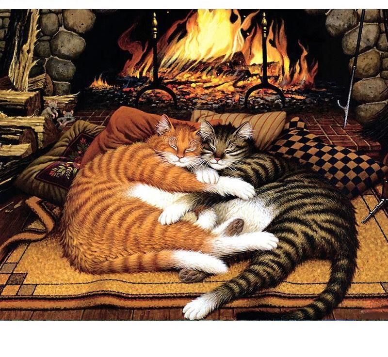 Couple Cats Hug DIY Painting By Numbers Kit - All Paint by numbers