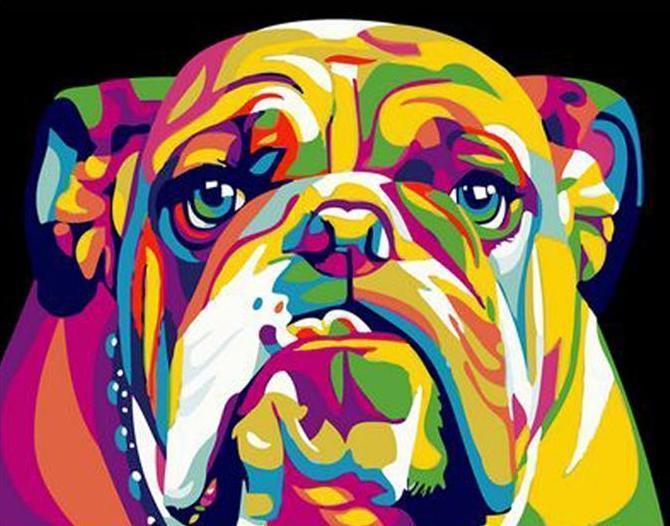 Colorful Rottweiler Dog Painting - All Paint by numbers
