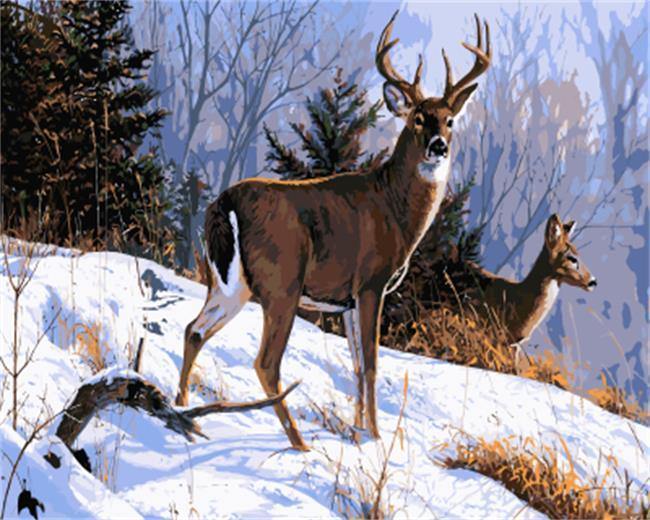 Deer on Snow - All Paint by Numbers