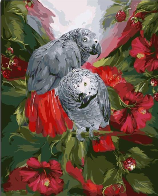 A pair of grey Parrots - All Paint by numbers