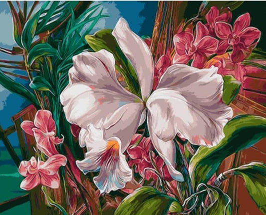 White and Pink Lilly - All Paint by numbers