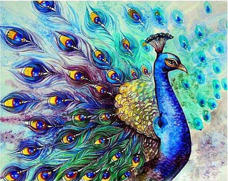 Peacock Drawing Painting - All Paint by numbers