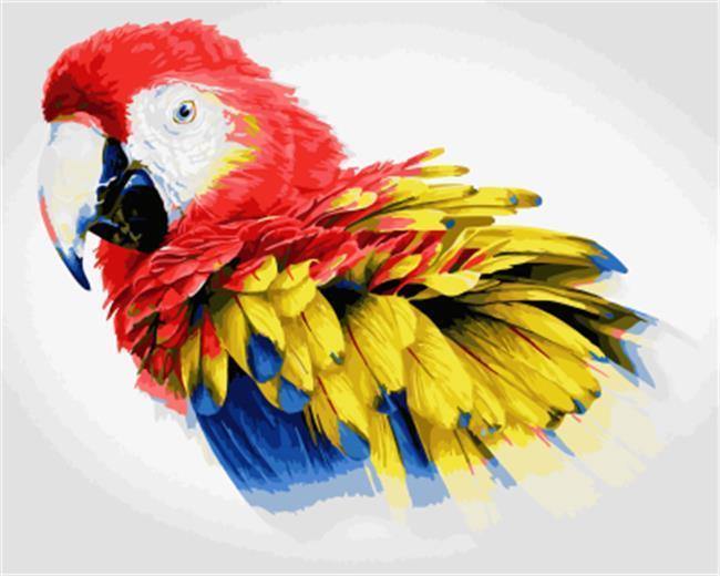 colorful Parrot - All Paint by Numbers