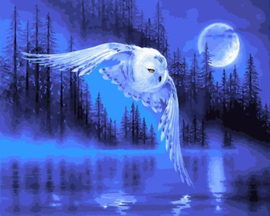 An Owl flying by the Moon - All Paint by numbers