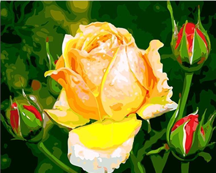 Yellow Rose & Red Rose Buds - All Paint by numbers