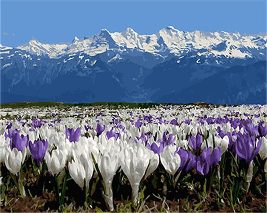 White Mountains with Purple & White Tulips - All Paint by numbers