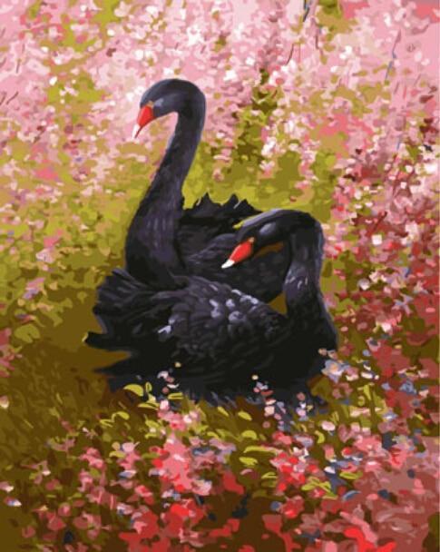 A Pair of Black ducks - All Paint by numbers