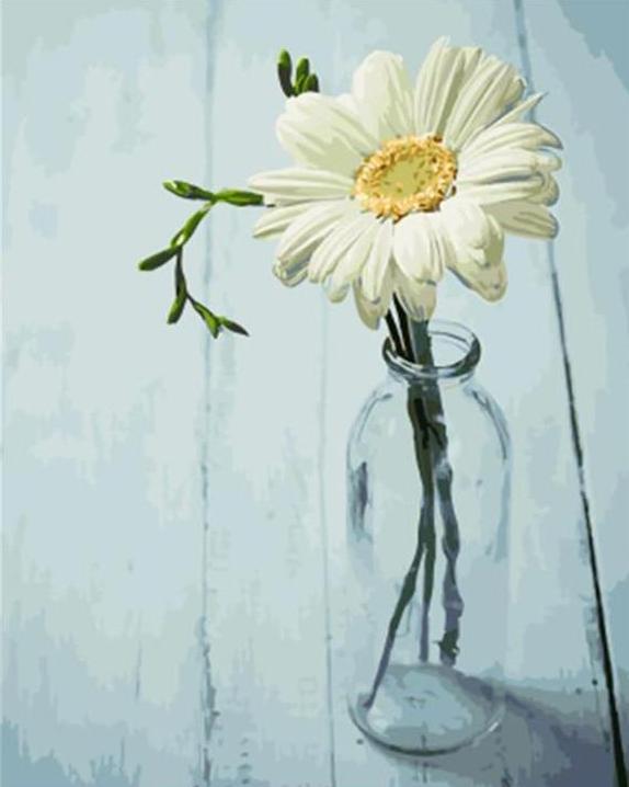 A White Daisy in a Glass Bottle - All Paint by numbers