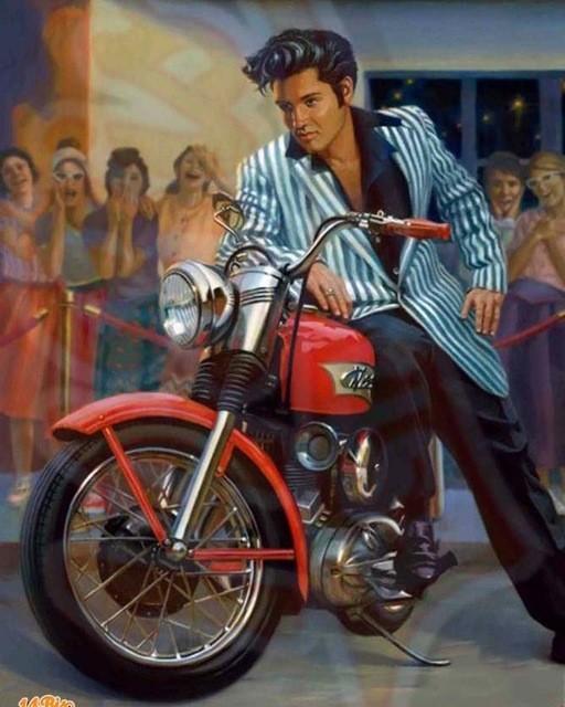 A Handsome Biker - All Paint by numbers