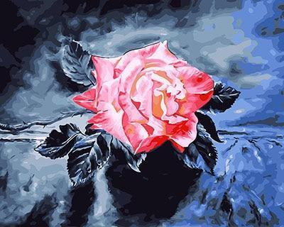 Pink Rose with Black Leaves - All Paint by numbers